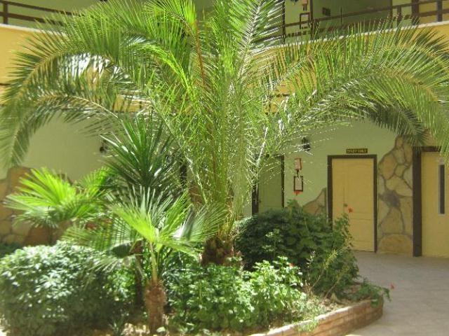 Oya Apartments Kuşadası Exterior photo